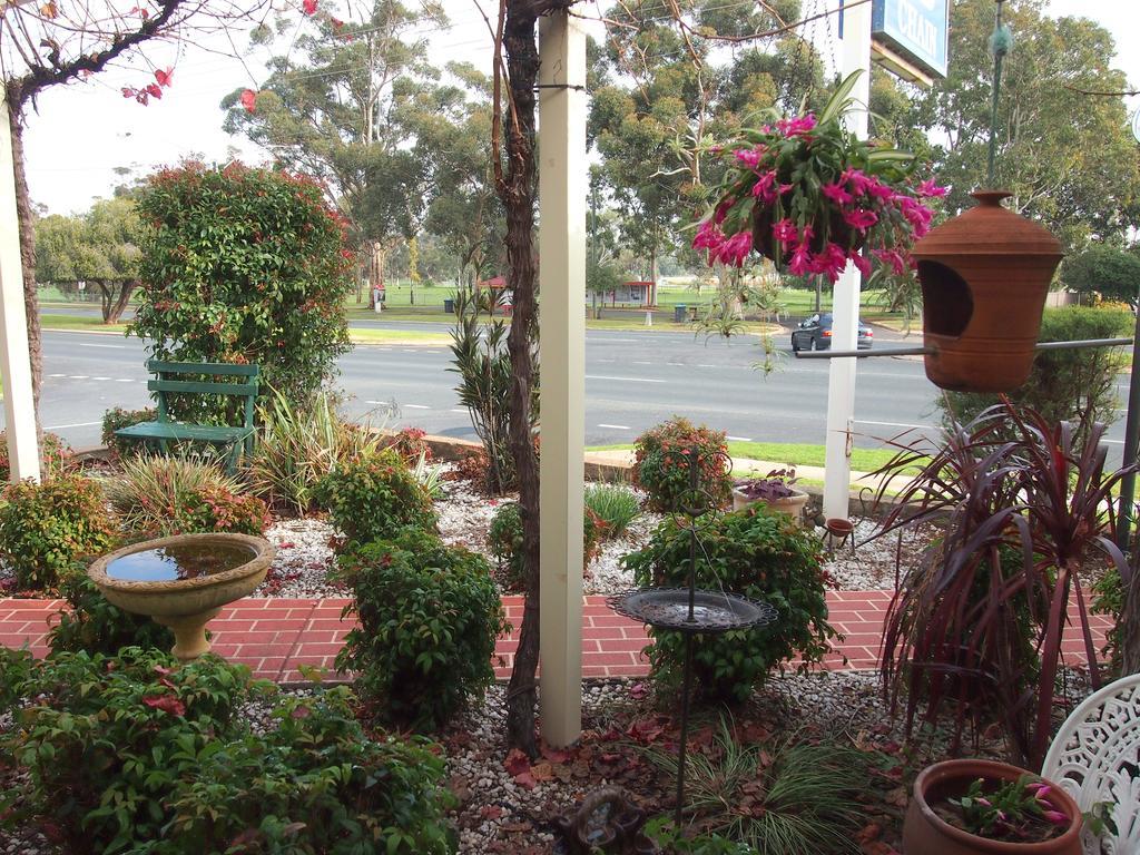 Murray River Motel Swan Hill Exterior photo